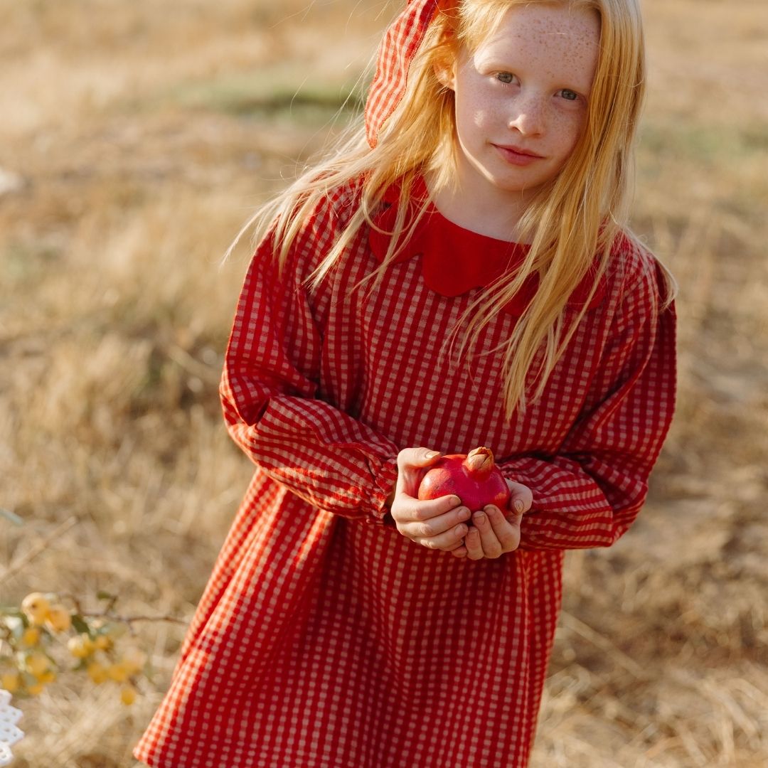 Mabel Girl Dress in Cranberry Check