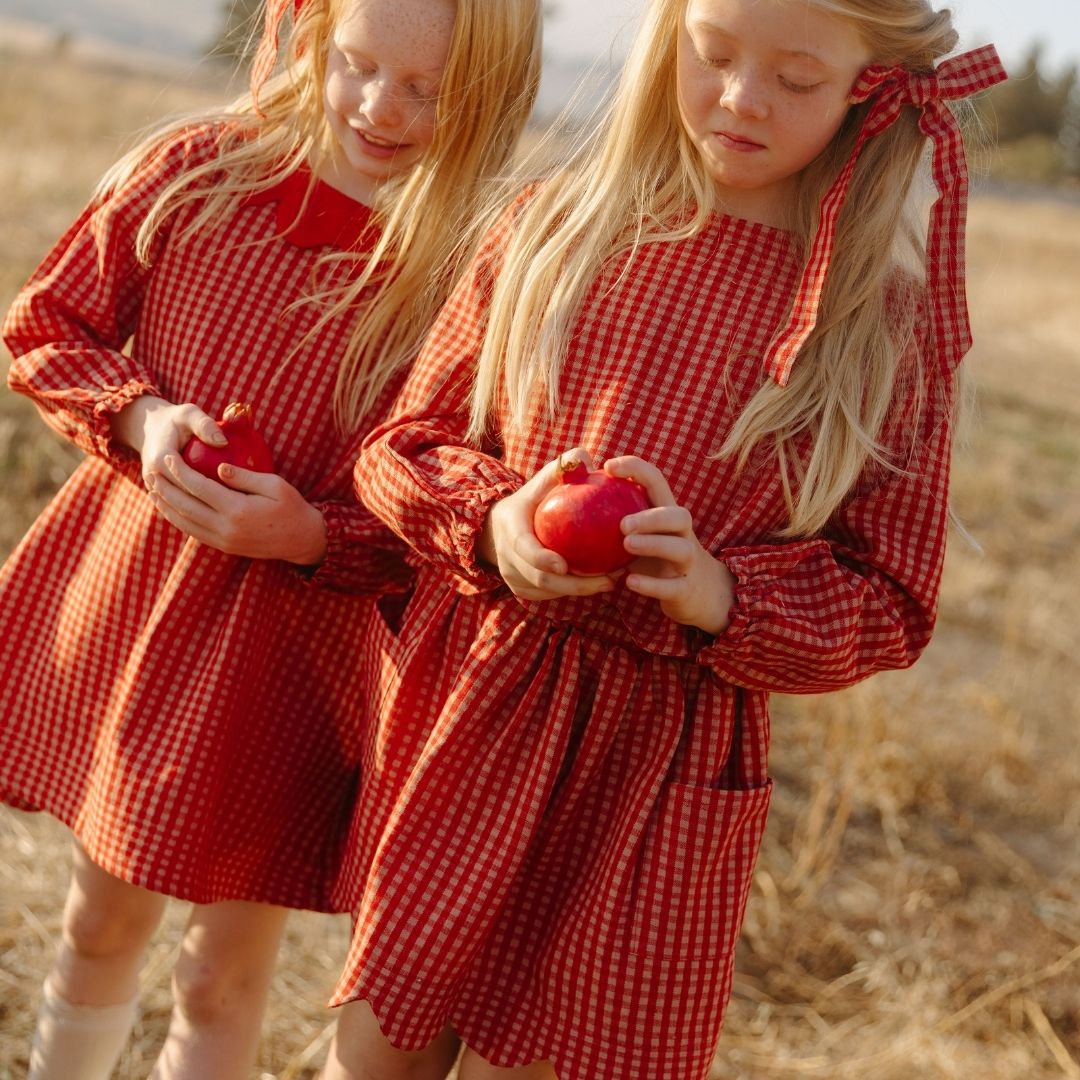 Magnolia Skirt Set in Cranberry Check