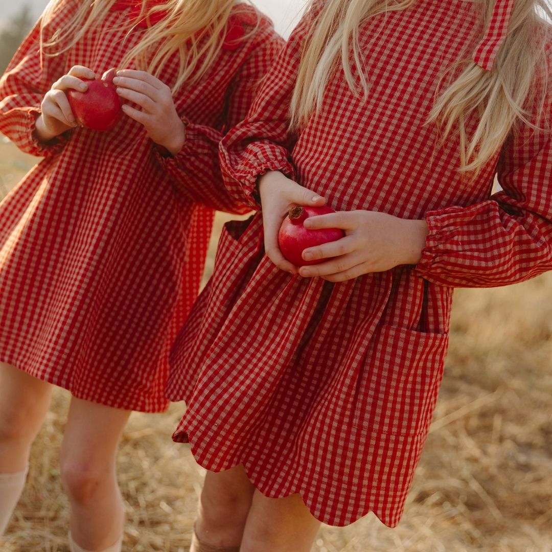 Magnolia Skirt Set in Cranberry Check