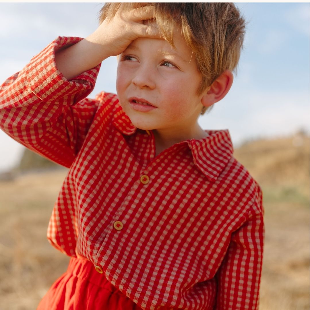Louis Boy Shirt in Cranberry Check
