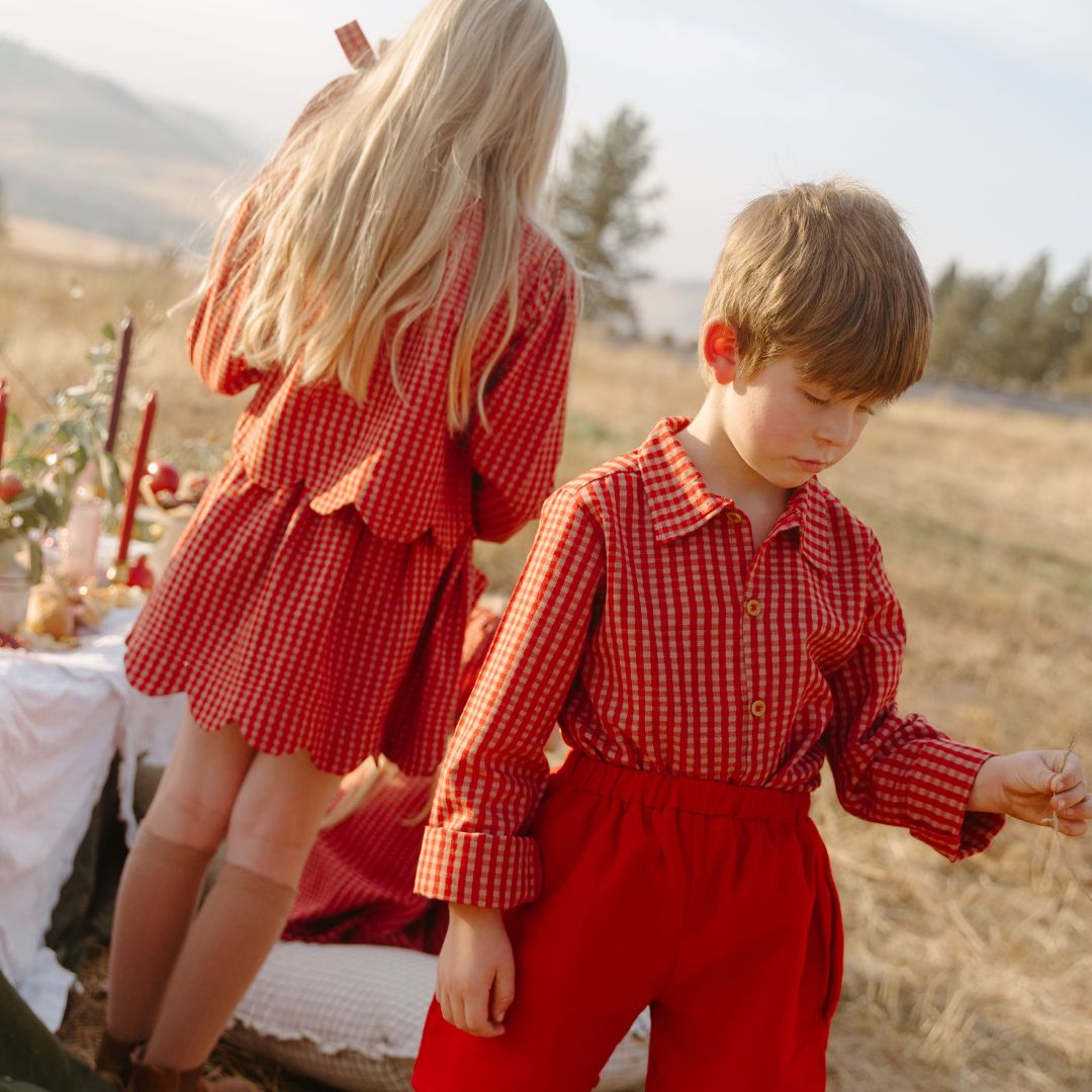 Louis Boy Shirt in Cranberry Check