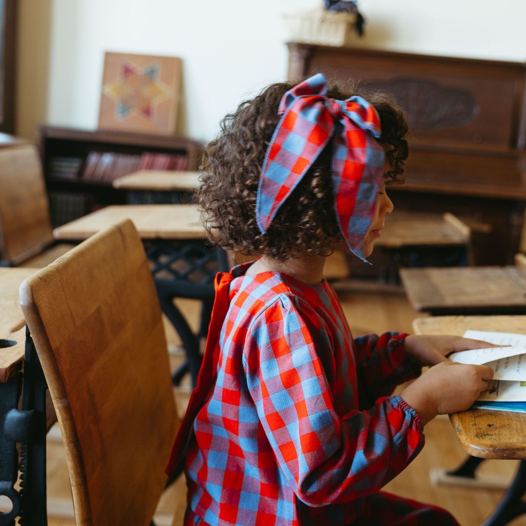 Folklore Large Bow in Primary Plaid