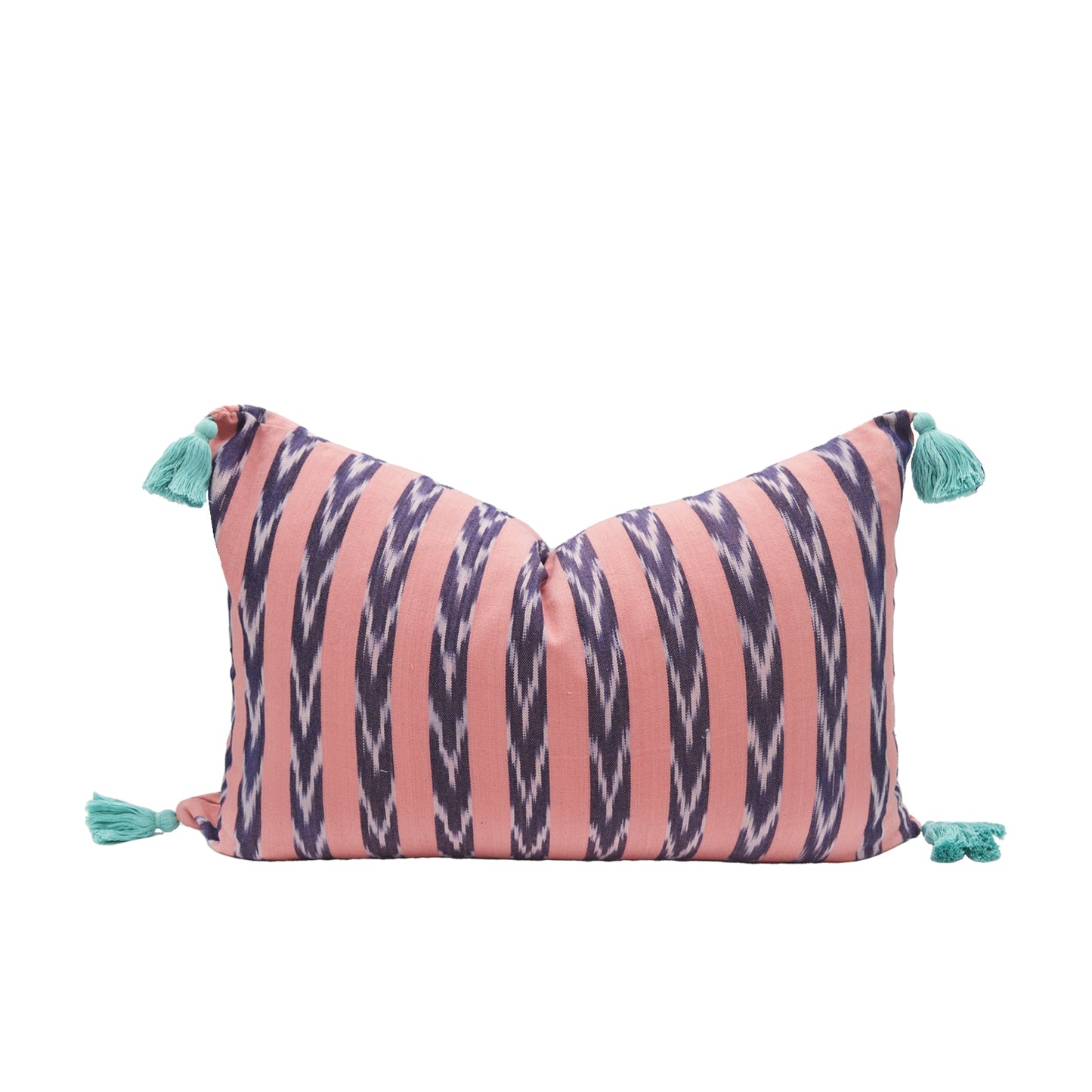 Paintbrush Throw Pillow Cover