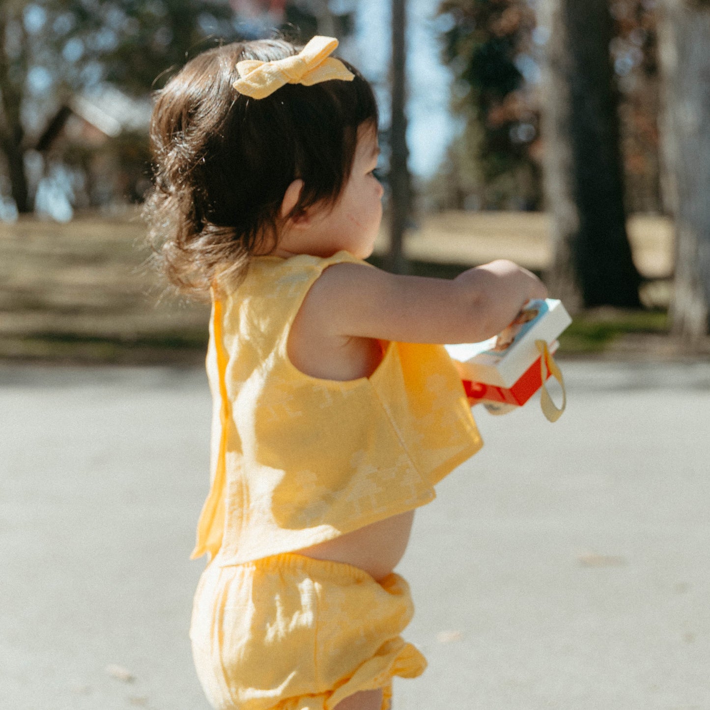 Folklore Medium Craspedia