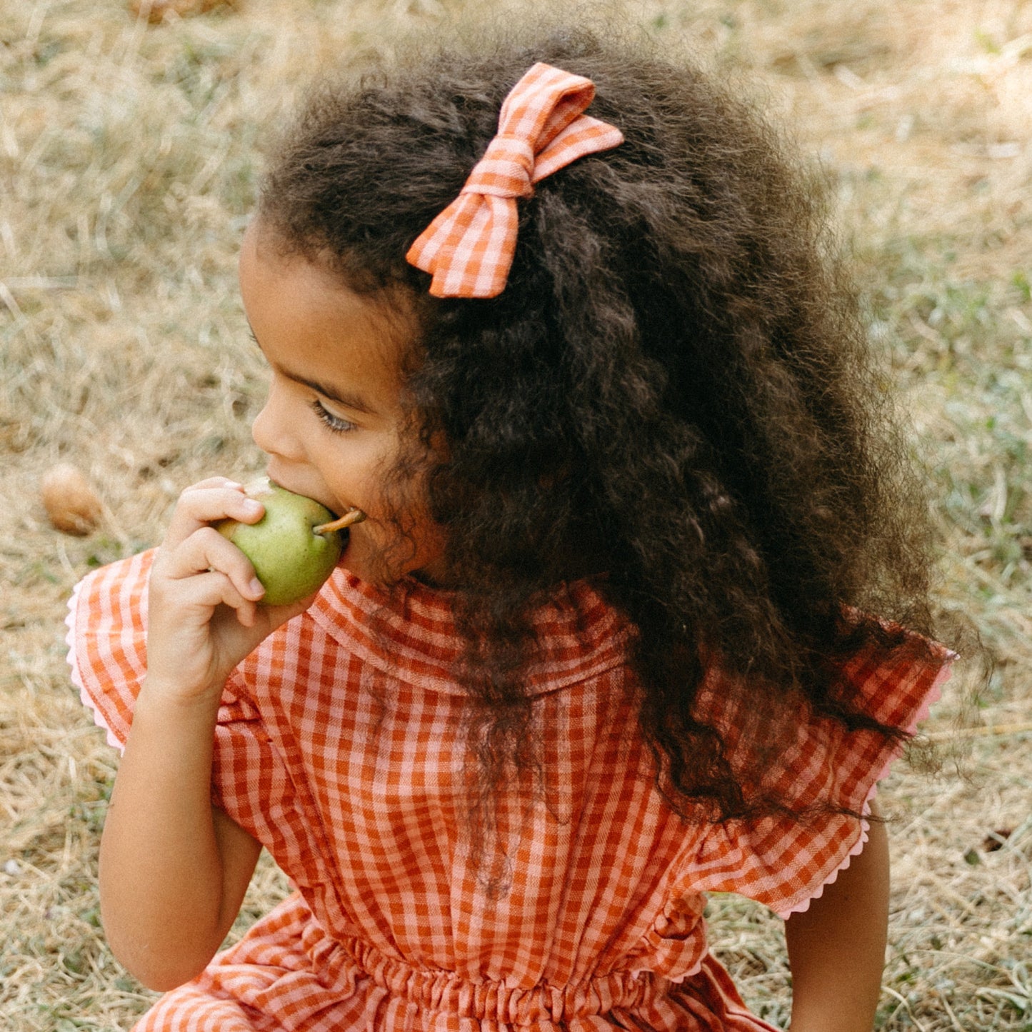 Folklore Medium Bow Apricot