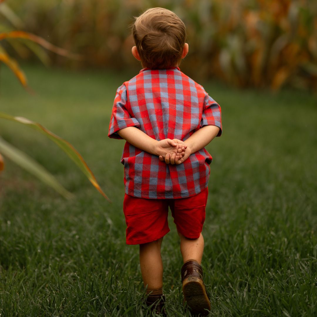 Henry Boy Set In Primary Check