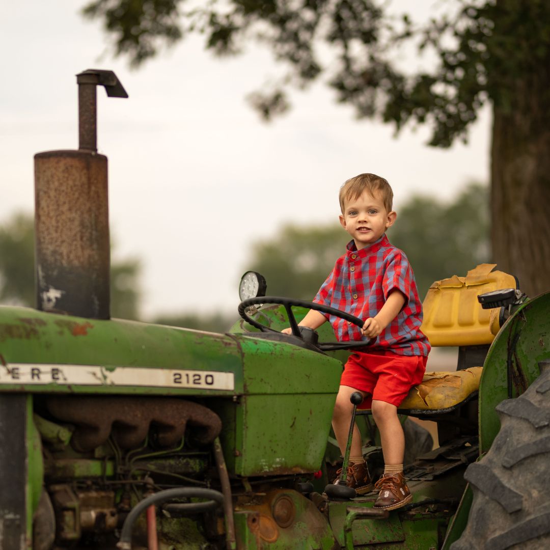 Henry Boy Set In Primary Check