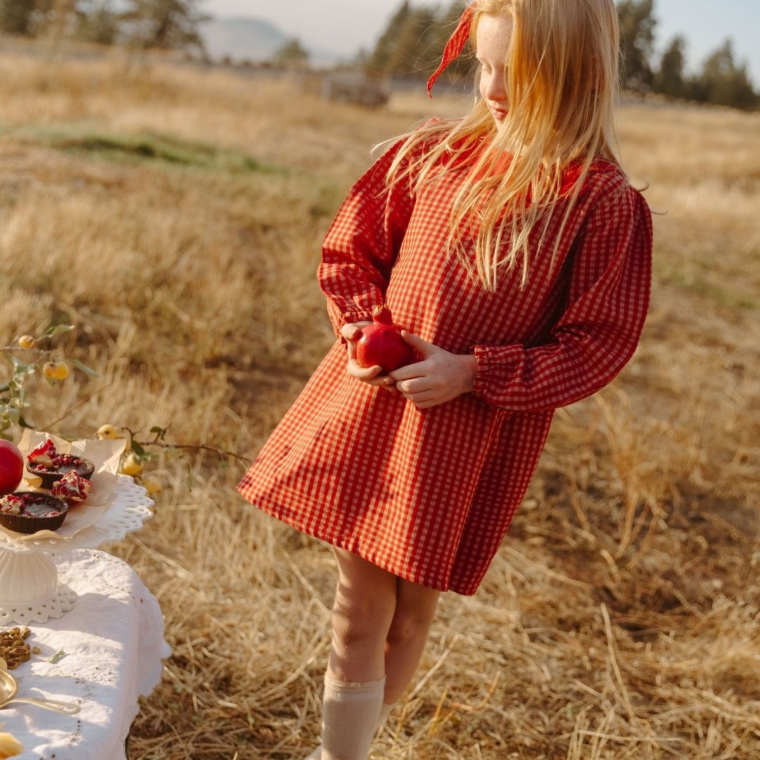 Mabel Girl Dress in Cranberry Check