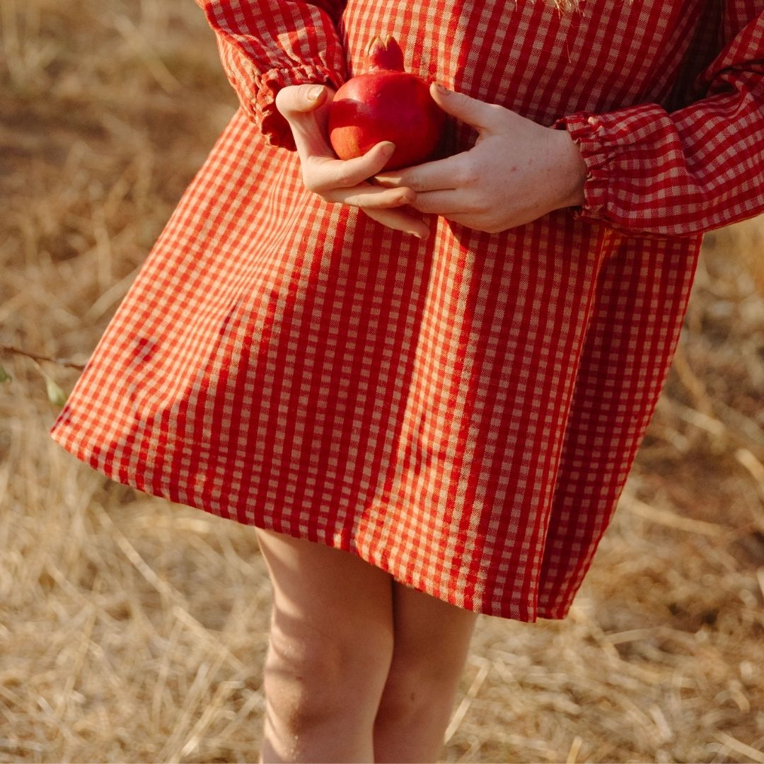 Mabel Girl Dress in Cranberry Check