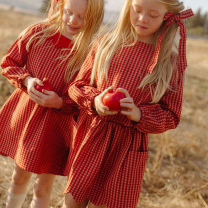 Magnolia Skirt Set in Cranberry Check