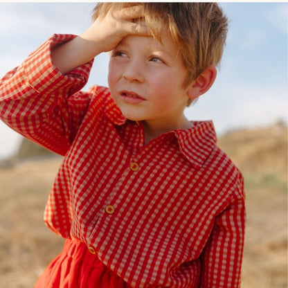 Louis Boy Shirt in Cranberry Check