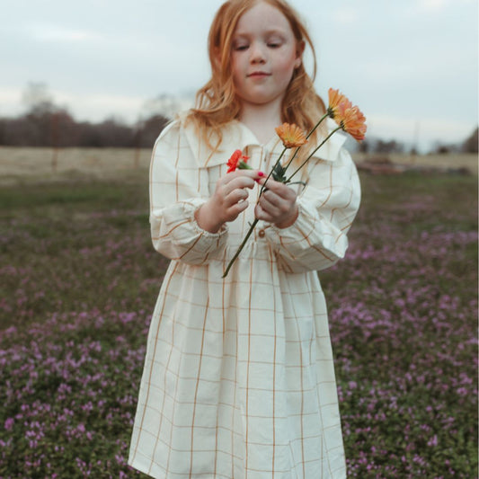 Lolita Girl Dress in Nutmeg Gingham